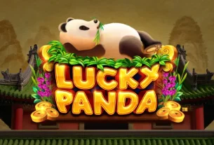 Lucky Panda